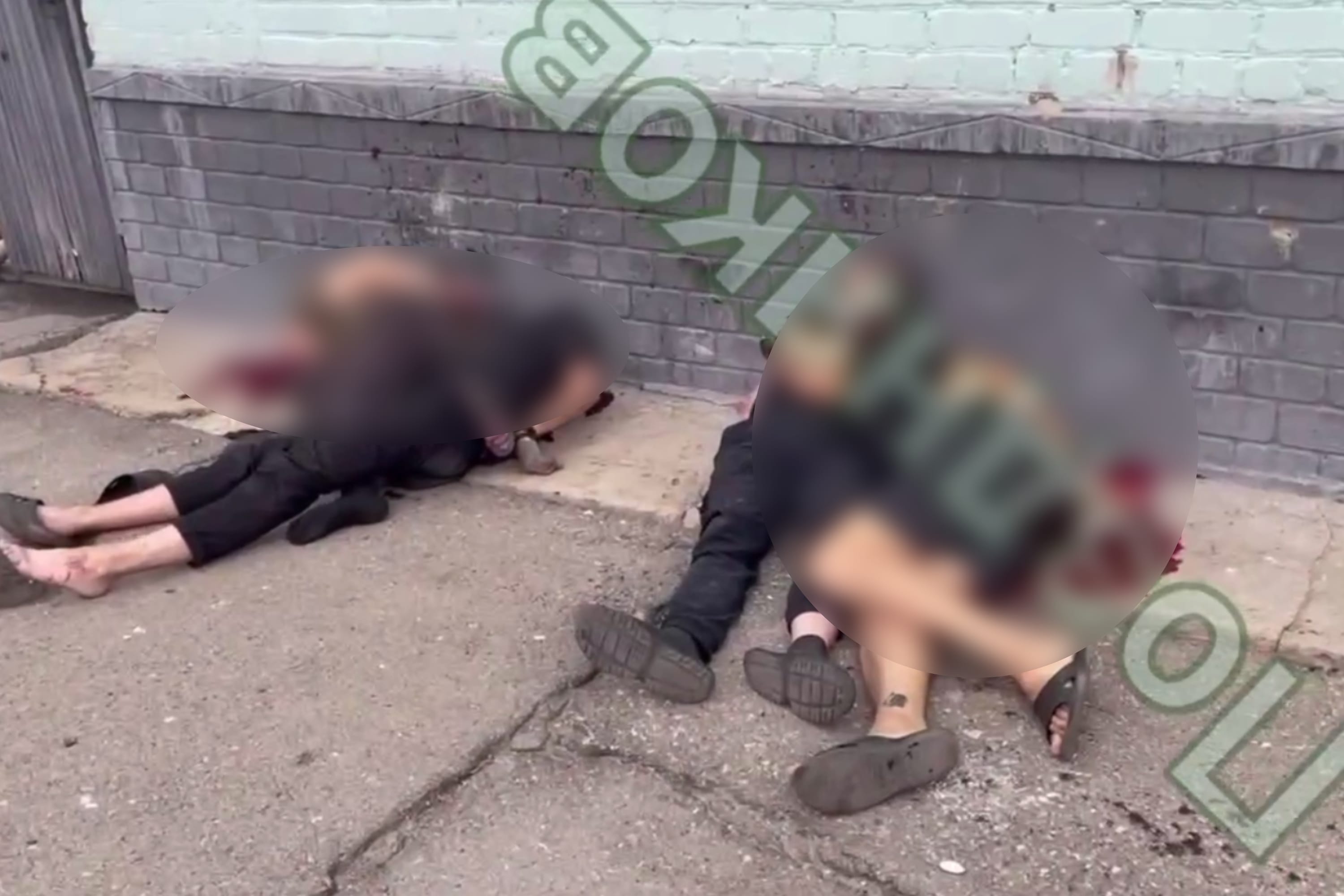 В сети появились видео убитых в колонии под Волгоградом. Судя по кадрам, их убили с завязанными руками, одному отрезали ухо